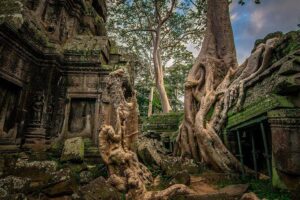 1-Day Amazing Angkor Wat Tour with Sunset & All Interesting Major Temples - Your temple day at a glance: 8 to 9 hours that move with purpose