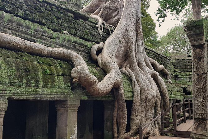 1day Private tour, Angkor sunrise,all main temples, Banteay srei - Angkor Wat temple time: carving details and room to breathe