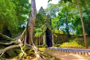 3 Days Siem Reap Explorer - Small Group - Day 1 on Tonlé Sap: Kampong Phluk and daily life on the water