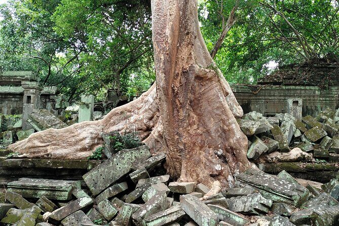 A Day Angkor Wat Sunrise Tour, Ta Prohm & Hidden Gems Beng Mealea - Price and tickets: where the real value is (and where it isn’t)