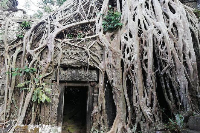 Afternoon Angkor Wat Private Tour with Sunset - Bayon Temple faces and Angkor Thom’s layout: Tonle Oum adds the wow