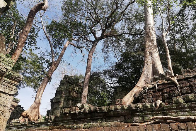 Afternoon Angkor Wat Private Tour with Sunset - What to bring (and what to leave behind) for an easier temple day