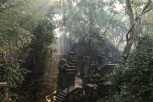 Angkor Temples Highlights: 2-Day Private Tour with Sunrise - Ta Prohm: the tree roots that steal the show