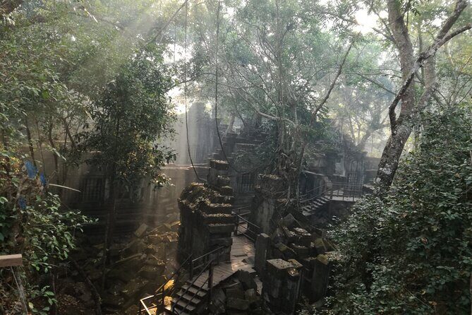 Angkor Temples Highlights: 2-Day Private Tour with Sunrise - Ta Prohm: the tree roots that steal the show