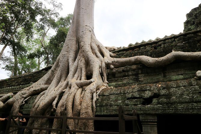Angkor Temples Private Full-Day Tour from Siem Reap (Free Child) - Should you book this private full-day Angkor tour?