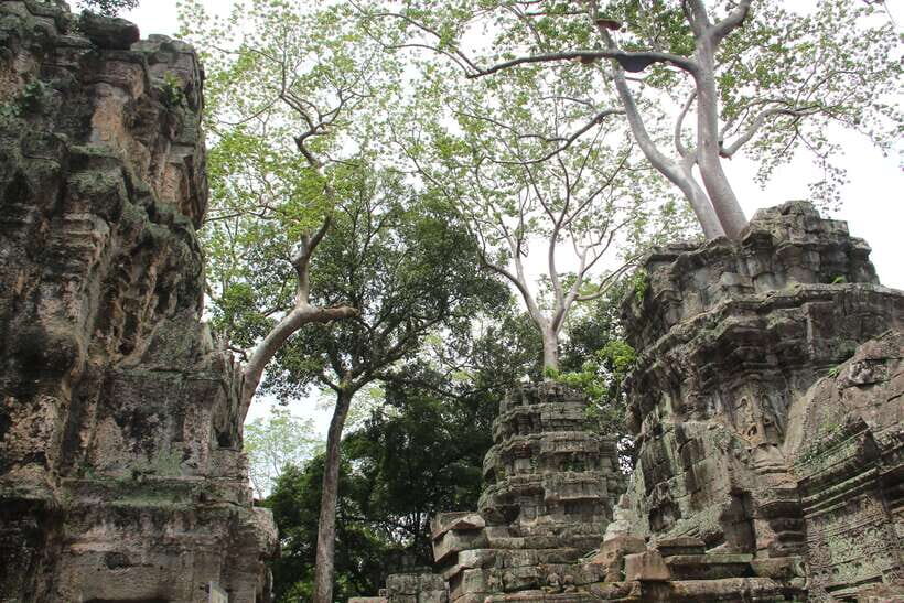 Angkor Wat Full-Day Private Tour with Sunset - Angkor Wat in the Afternoon: Size, Balance, and What to Look For
