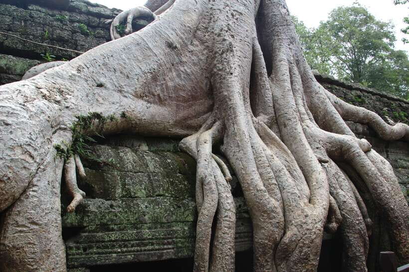 Angkor Wat Full-Day Private Tour with Sunset - Who This Tour Is Best For