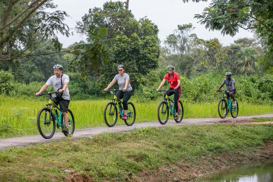 Angkor Wat: Guided Sunrise Bike Tour w/ Breakfast and Lunch - How hard is the cycling, and what about the bikes?