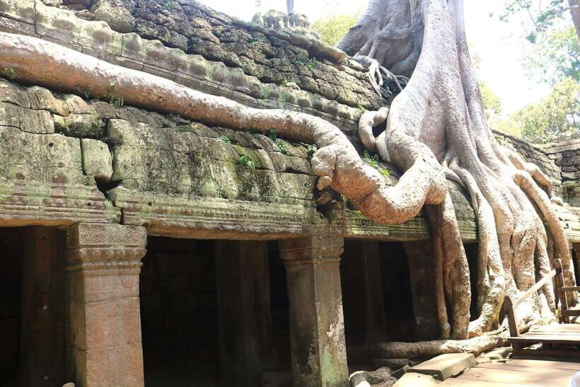 Angkor Wat: Highlights and Sunrise Guided Tour - Angkor Thom’s Gates and Bayon: 200+ Faces Up Close