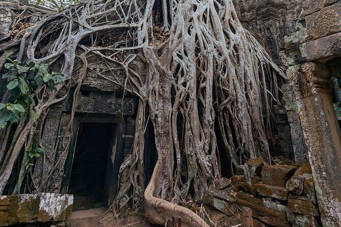 Angkor Wat Private Tuk-Tuk Tour (sunrise Option) & more - The driver-first experience: safety, pacing, and real flexibility