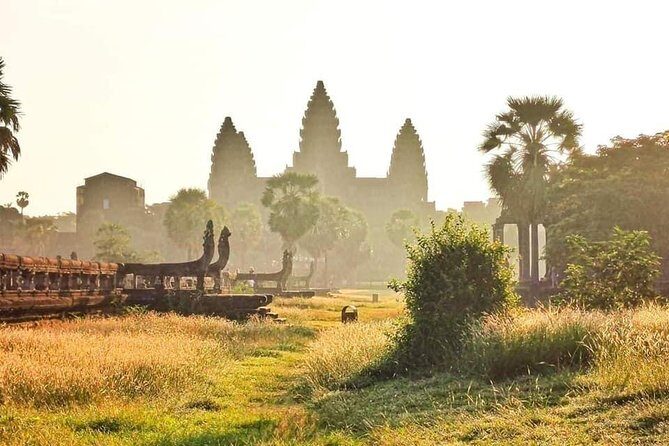 Angkor Wat Small-Group Exploration with Expert Guide - The guide factor: what you gain beyond the ticket