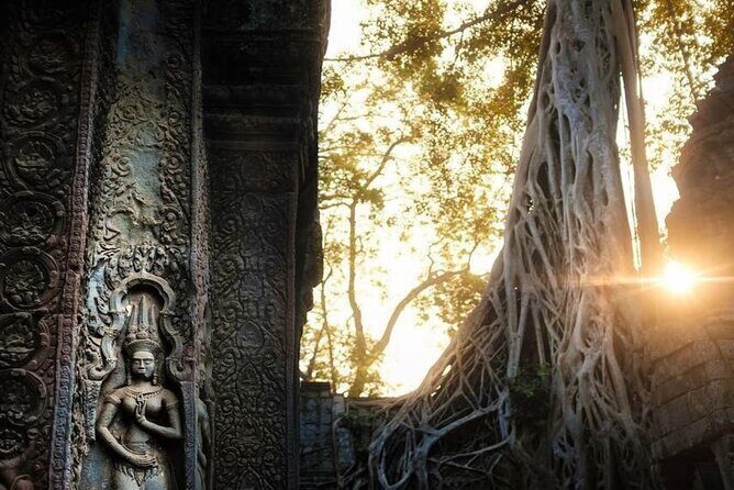 Angkor Wat Sunrise & 3 Main Temples with Breakfast – Small Group - Ta Prohm: Temple Time for Photos and Perspective