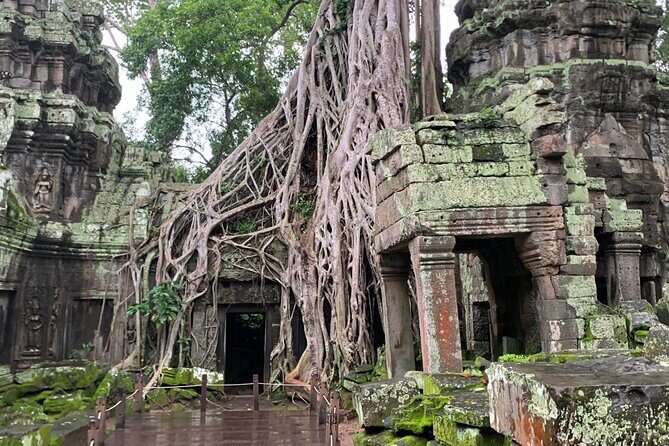 Angkor Wat Sunrise and Angkor Thom Sunset Tour - Price and logistics: what $59 really buys you