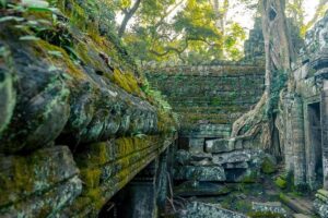 Angkor Wat Sunrise or Sunset Tour with Guide from Siem Reap - The Angkor Wat morning setup: what you’ll do and what to watch for