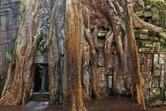 Angkor Wat Sunrise or Sunset Tour with Guide from Siem Reap - Angkor Thom’s South Gate and Bayon towers: why this stop matters