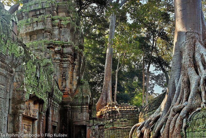 Angkor Wat Sunrise or Sunset Tour with Guide from Siem Reap - Ta Prohm tree roots: the photo stop that also tells a story