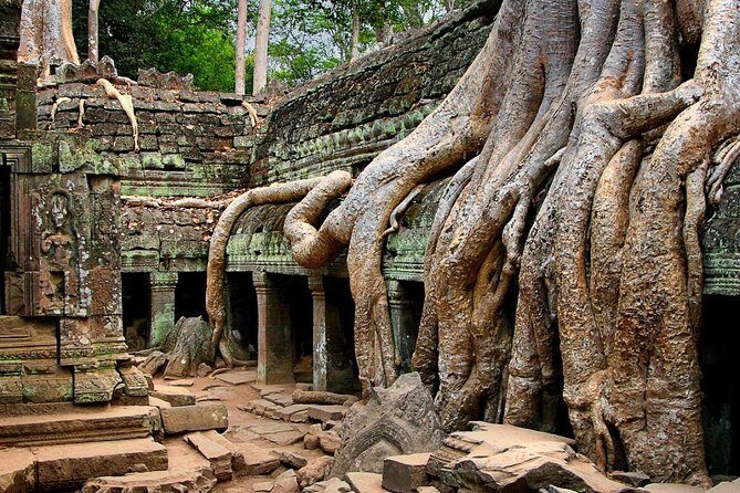 Angkor Wat Sunrise or Sunset Tour with Guide from Siem Reap - What to expect on the ground: walking, heat, and pacing