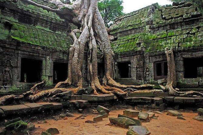 Angkor Wat Sunrise Tour - Guide and driver quality: the difference between seeing and understanding
