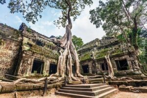 Angkor Wat Sunrise tour with Small - Group and Guide tours - Small-group comfort and pickup in Siem Reap