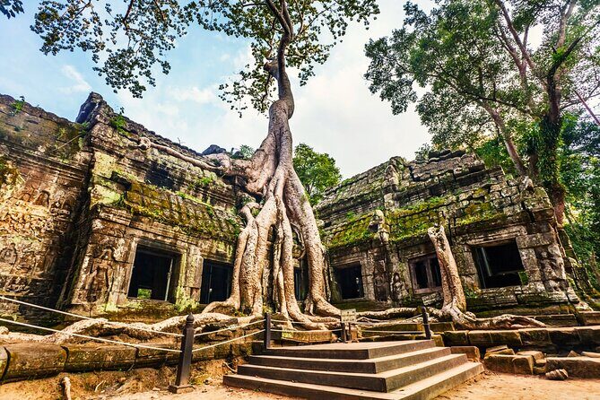 Angkor Wat, Ta Promh, Banteay Srei, Bayon temples Private Tour - Price and logistics: what you really pay for
