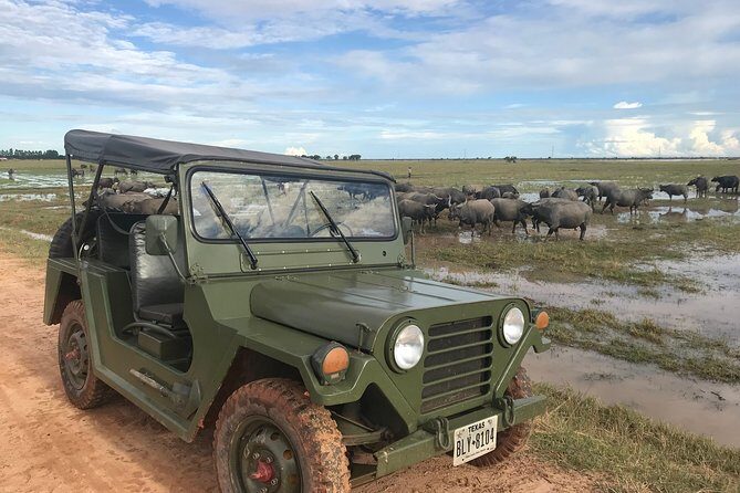 Authentic Cambodian Countryside Jeep Experience - Rice Fields and Village Life: Farming That Looks Like Work Because It Is
