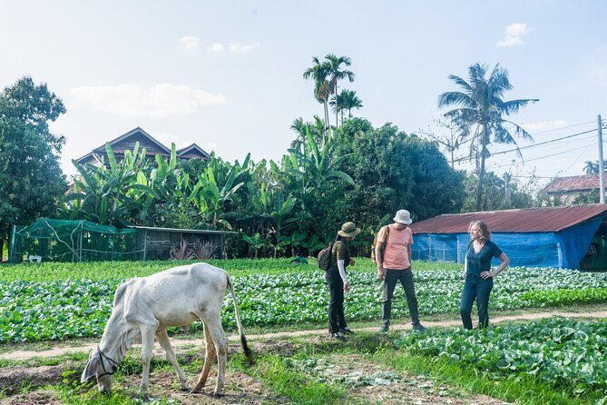 Countryside Sunset Jeep Tour with Drinks included - Who This Tour Fits Best