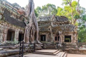 Full Day Tour Angkor Wat Sunrise and Siem Reap Temples - Value check: what $45 covers on a 7–8 hour day