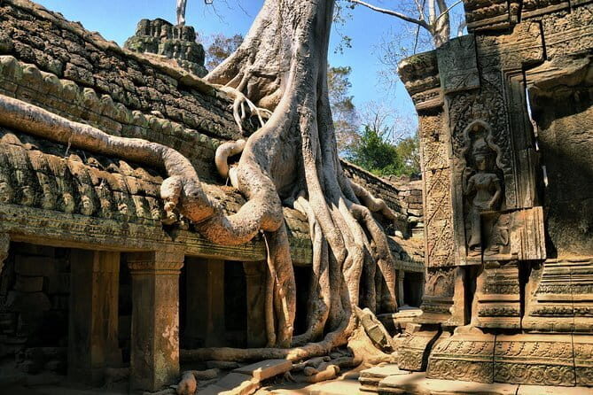 Half Day River Monster Tour with Private Guide in Siem Reap - Aquarium Highlights: Clean Layout, Underwater Tunnel, and Mermaid Show