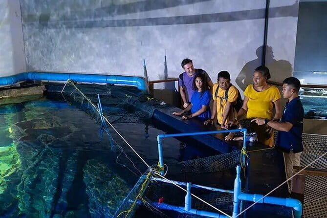 Half Day River Monster Tour with Private Guide in Siem Reap - How to Plan Your Day With the 8 AM to 5 PM Window