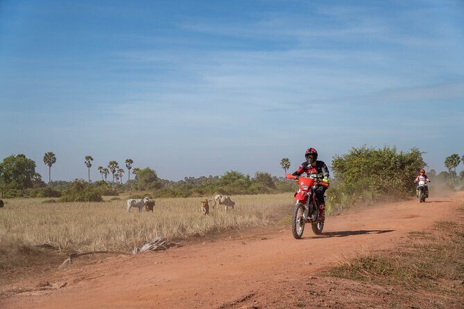 Half Day Siem Reap Off-Road Ride Tour - Price and value: is $65 fair for a half-day ride?
