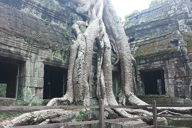 One day Angkor temple tour with private driver - Price and Logistics: When $49 Feels Like a Win