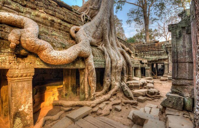 One Full Day Private tour of Angkor Wat, Ta Prohm, Angkor Thom & Banteay Srie - Key things that make this tour worth your time