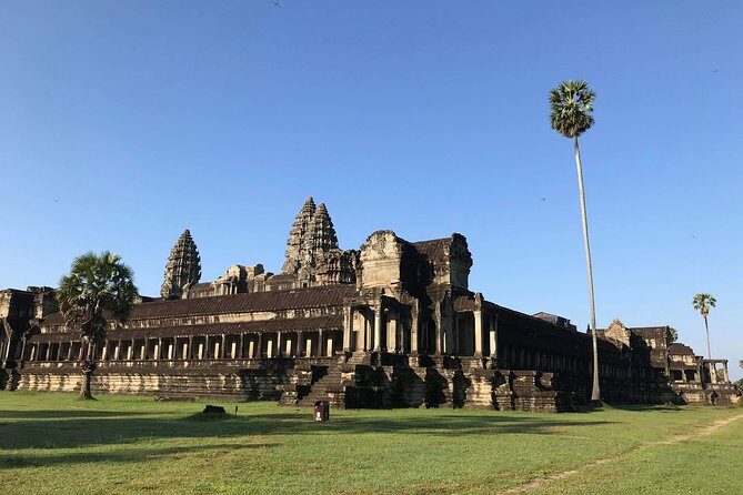 Private Angkor Sunrise Guided Tour - Ta Prohm: the Tomb Raider style chaos, guided and easier to parse