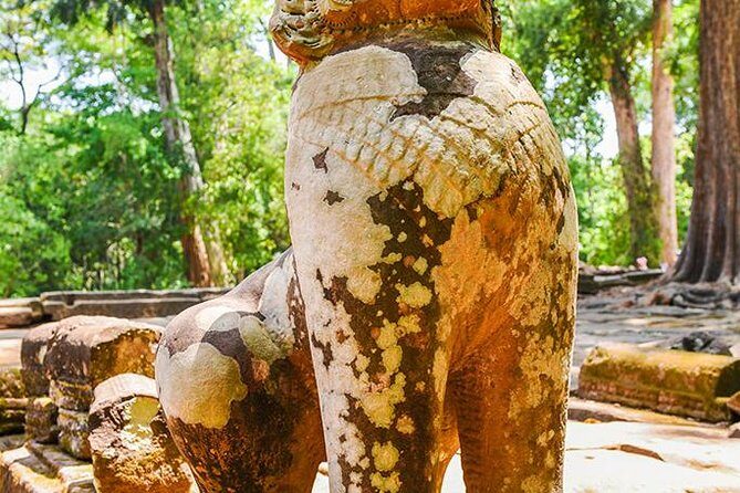 Private Full-Day Angkor Temple and Sunset Viewing with Lunch - Ta Prohm: tree roots, giant scale, and why this stop can make or break the day