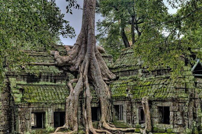 Private sunrise tour to Angkor Wat & other highlights with Professional Guide. - Sunrise at Angkor Wat: why this time slot matters