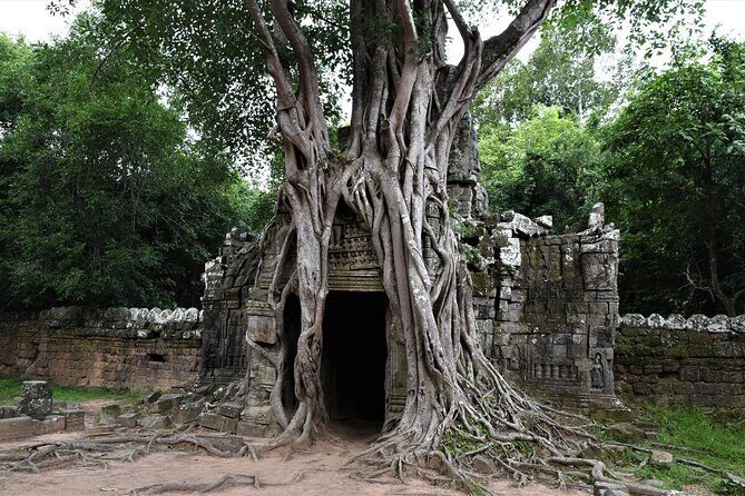 Private Taxi Siem Reap to Phnom Penh, Reliable Driver, Transfer - Price and value: $125 per group (up to 3) for a faster, cleaner travel day