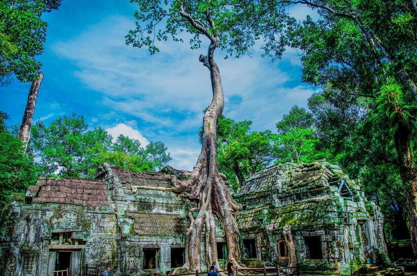 Seat-In-Coach: Small Circuit tour with Sunrise at Angkor Wat - Angkor Thom and Bayon: Faces That Grab Your Attention