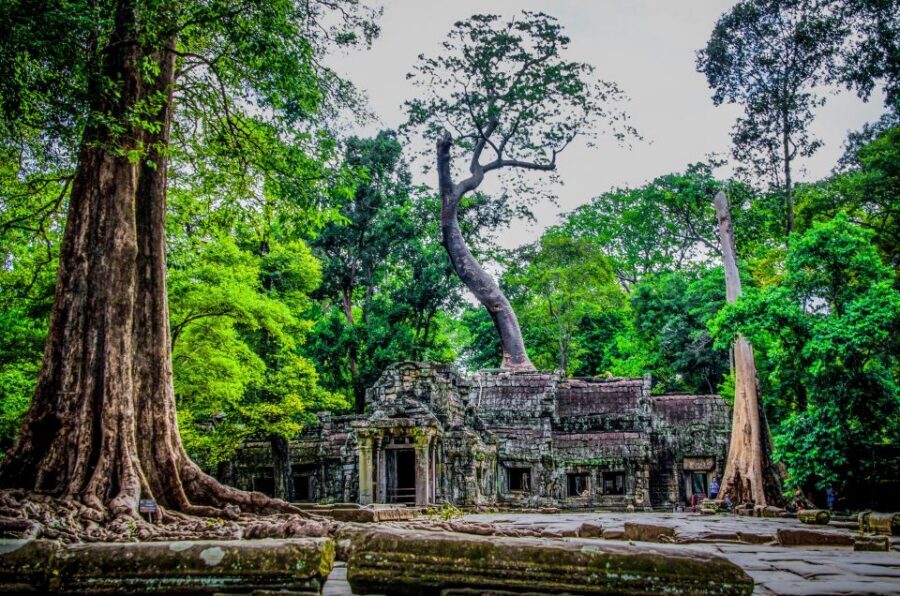 Seat-In-Coach: Small Circuit tour with Sunrise at Angkor Wat - Group Size, Photo Spots, and the Role of Your Guide