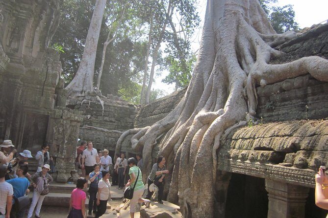 Shared Tour to Angkor Wat, Bayon and Ta Prohm Temples - Price and value: what you really pay for