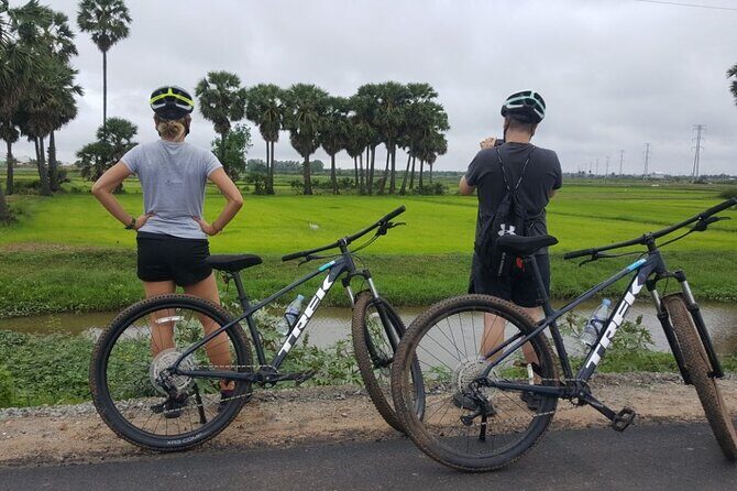 Short Cycling at Countryside - Paddy fields in green or gold: what changes by season
