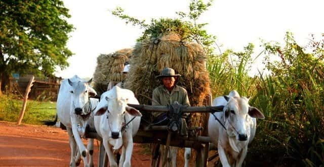 Siem Reap: 3-Hour Ancient Trails Motorbike Tour - Why ancient trails beat temple traffic in Siem Reap