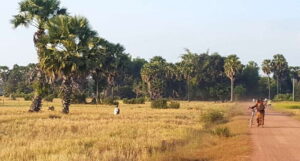 Siem Reap: 3-Hour Ancient Trails Motorbike Tour - Motorbike training and safety: what you’re really buying