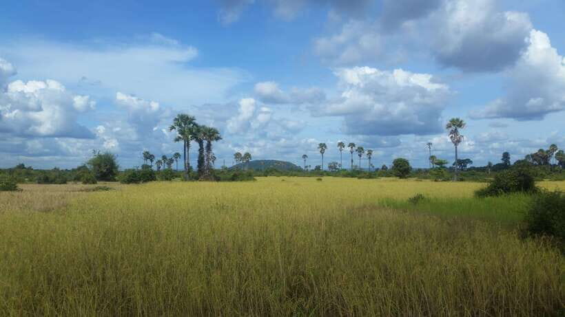 Siem Reap: 3-Hour Ancient Trails Motorbike Tour - Meeting a monk at a pagoda: respectful, grounded, and personal