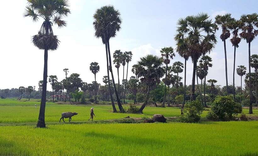 Siem Reap: 3-Hour Ancient Trails Motorbike Tour - Price and value: is $44 fair for a 3-hour off-road ride?