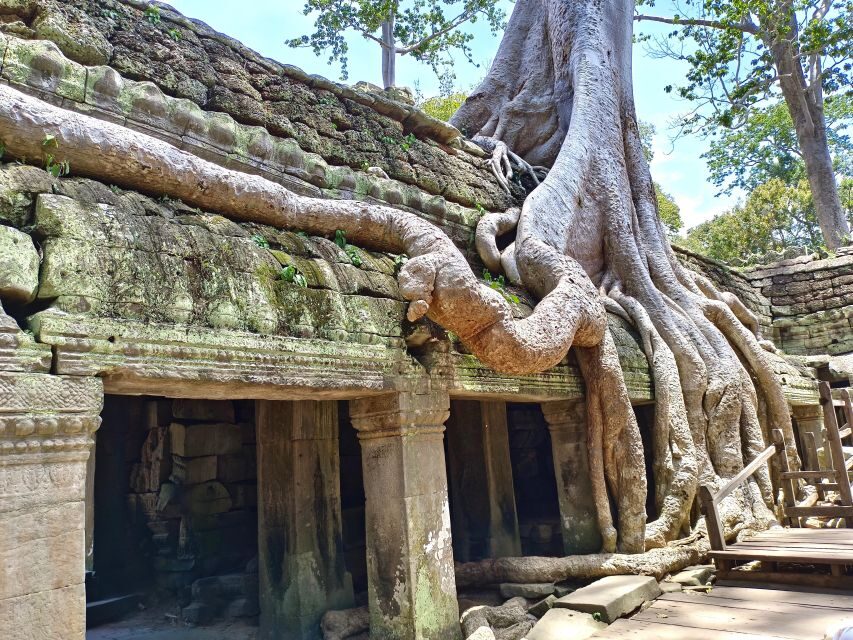 Siem Reap: Angkor Sunrise 1- or 2-Day Guided Temples Tour - Logistics that matter: timing, walking, heat, and dress rules