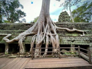Siem Reap: Angkor Wat Admission Ticket - The practical value of skipping the ticket line