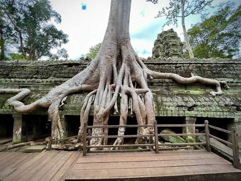 Siem Reap: Angkor Wat Admission Ticket - What you do after pickup: the park experience in plain terms