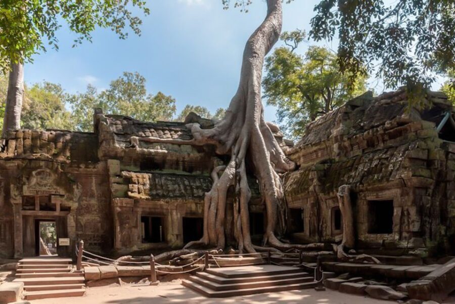 Siem Reap: Angkor Wat Sunrise and Full-Day Sightseeing Tour - Ta Prohm: the Tomb Raider temple vibe, minus the chaos