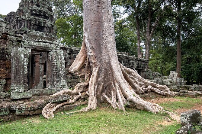 Siem Reap: Angkor Wat Sunrise Bike Tour & Jungle Breakfast - Riding through Angkor’s forest trails: easier than you fear, with a few real bumps