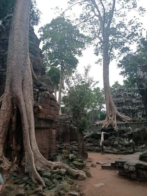 Siem Reap: Angkor Wat Tour with Italian-Speaking Guide - Comfort details: cold towels, smooth transfers, and small care